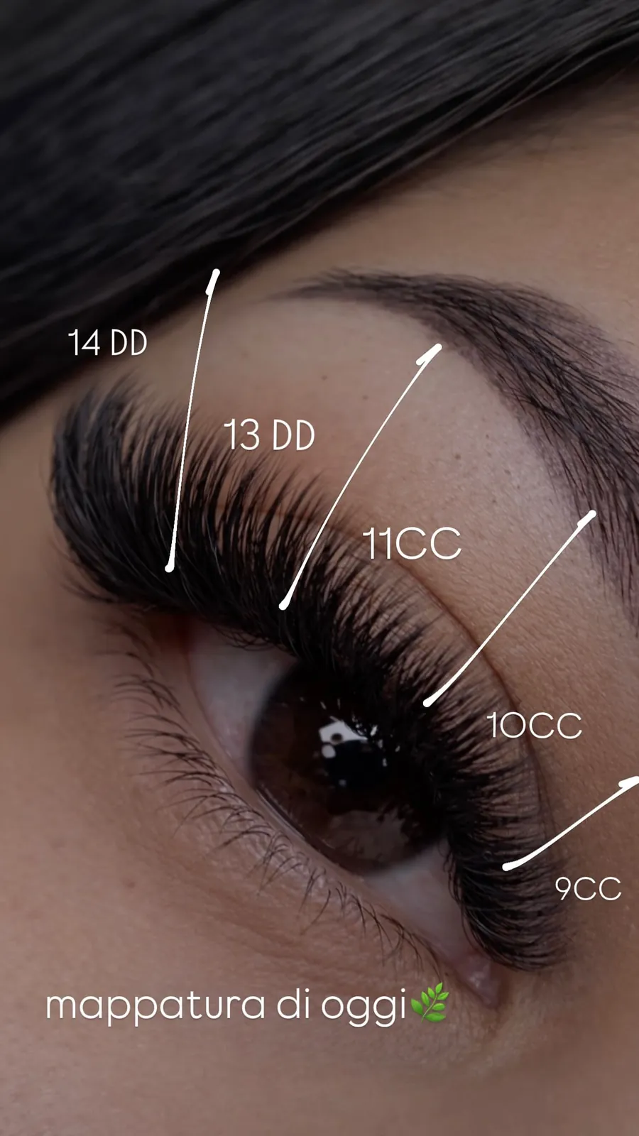 Mappatura reale delle extension con le curvature